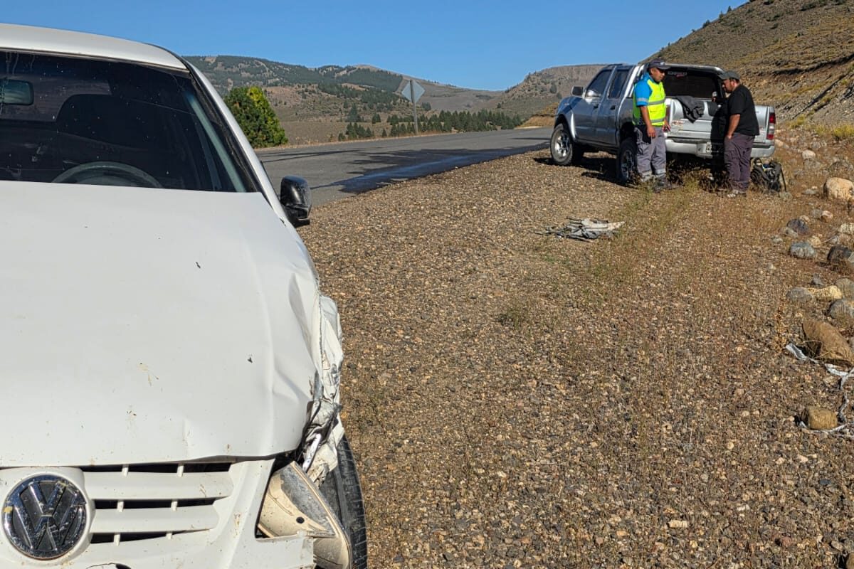 WhatsApp Image 2026-02-22 at 2.19.37 PM